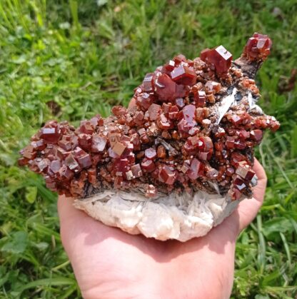 Vanadinite sur Baryte, Mibladen, Maroc.