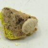 Autunite, mine de Margnac, Haute-Vienne, Limousin.