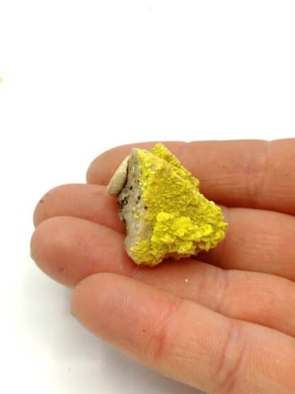 Autunite, mine de Margnac, Haute-Vienne, Limousin. – Image 2