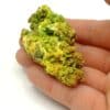 Autunite et Phosphuranylite, Mine Henriette, Haute-Vienne, Limousin.