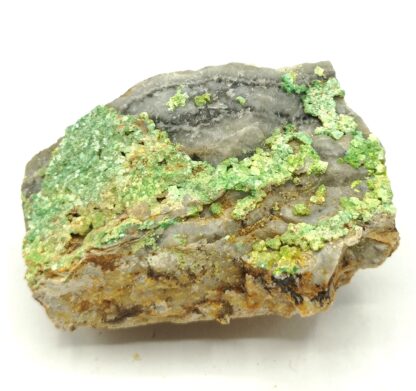 Torbernite, Puy de l’Age, Bellezane, Haute-Vienne, Limousin.