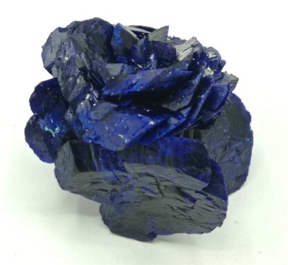 Fleur d’Azurite, Chessy-les-Mines, Rhône, Ex. Coll. Doumet.