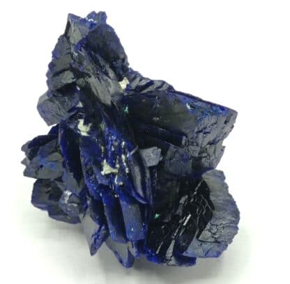 Fleur d’Azurite, Chessy-les-Mines, Rhône, Ex. Coll. Doumet.