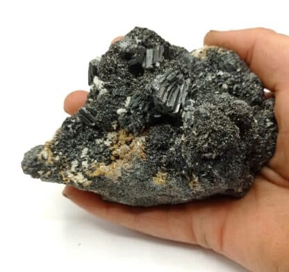 Bournonite, Blende (Sphalérite) et Stibine, Baia Sprie, Roumanie.