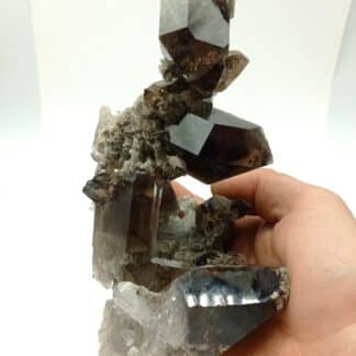 Quartz fumé et Brookite, Puiva, Oural, Russie.