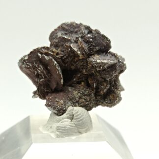 Löllingite, Beni Bouzra, Maroc.