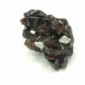 Axinite et Sphalérite (Blende), Mine Fortuna, Fresnillo, Mexique.