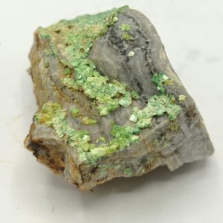 Torbernite, Puy de l’Age, Bellezane, Haute-Vienne, Limousin.