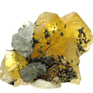 Calcite, Fluorite (Fluorine) et Pyrite, El Hammam, Maroc.