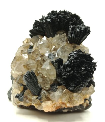 Goethite et Quartz, Les Redoutières, Chaillac, Indre.