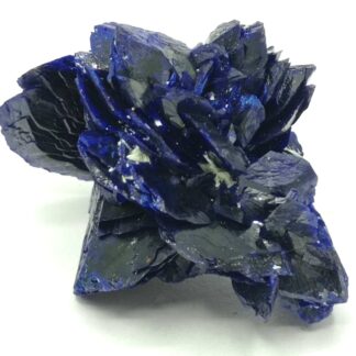 Fleur d’Azurite, Chessy-les-Mines, Rhône, Ex. Coll. Doumet.