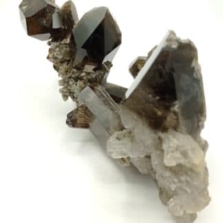 Quartz fumé et Brookite, Puiva, Oural, Russie.