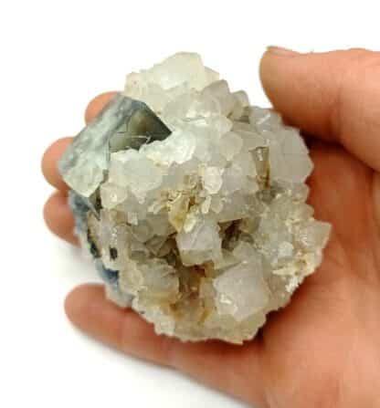 Fluorine (Fluorite) et Quartz, Gorges de Loulas (L’Oulas), Tarn.