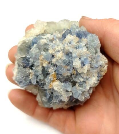 Fluorine (Fluorite) et Quartz, Gorges de Loulas (L’Oulas), Tarn. – Image 8
