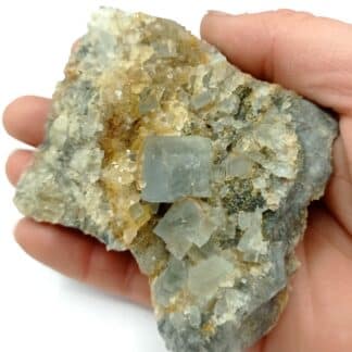 Fluorine (Fluorite) et Quartz, Gorges de Loulas (L’Oulas), Tarn.