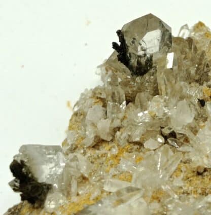 Dravite (Tourmaline) et Quartz, Argentine, La Lauzière, Savoie.