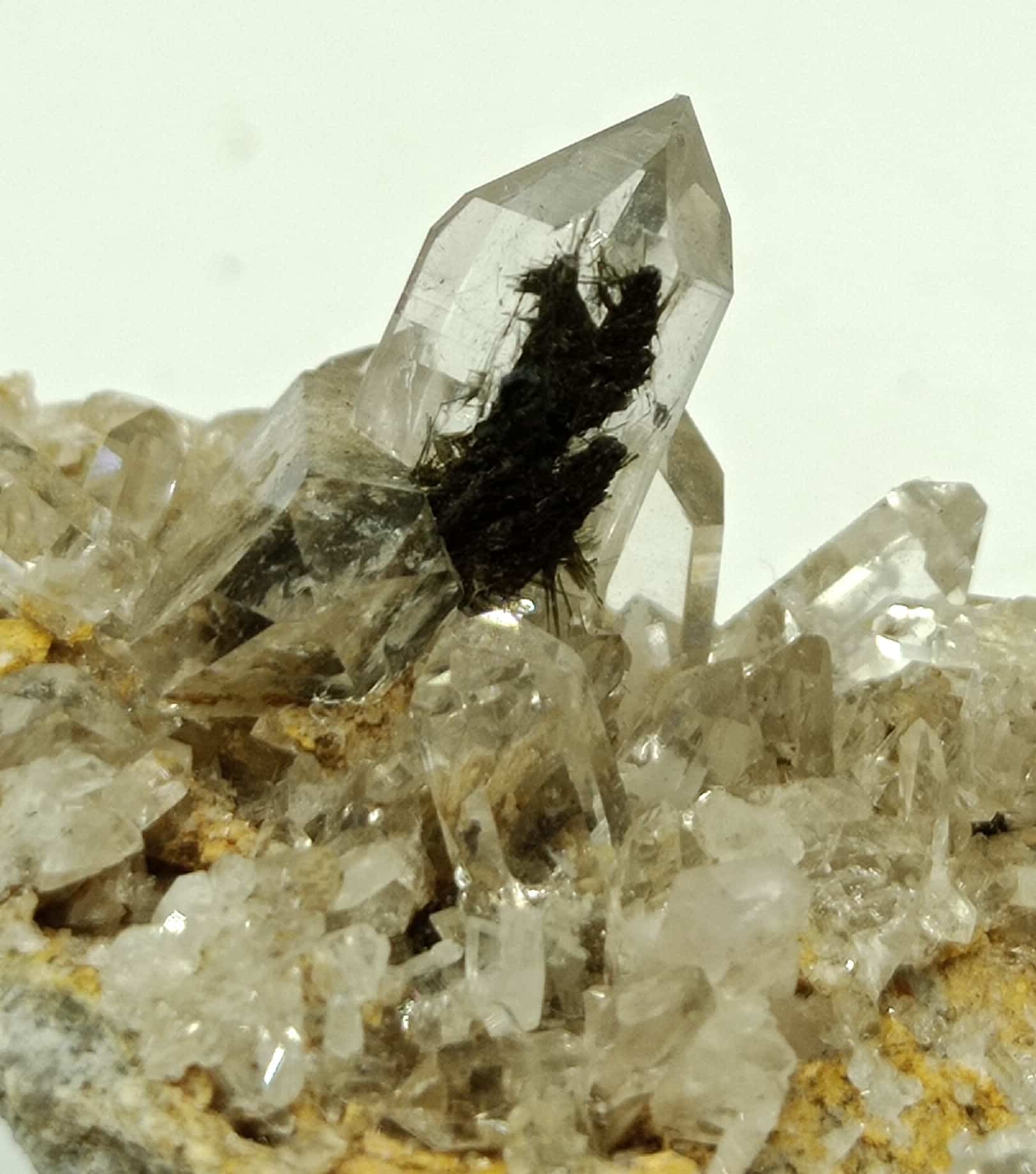 Dravite (Tourmaline) et Quartz, Argentine, La Lauzière, Savoie.