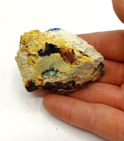 Azurite sur Baryte (Barytine), Le Mas Dieu, Gard.