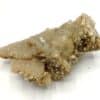 Quartz et Calcite, L’Argentolle, Saône-et-Loire, Morvan.