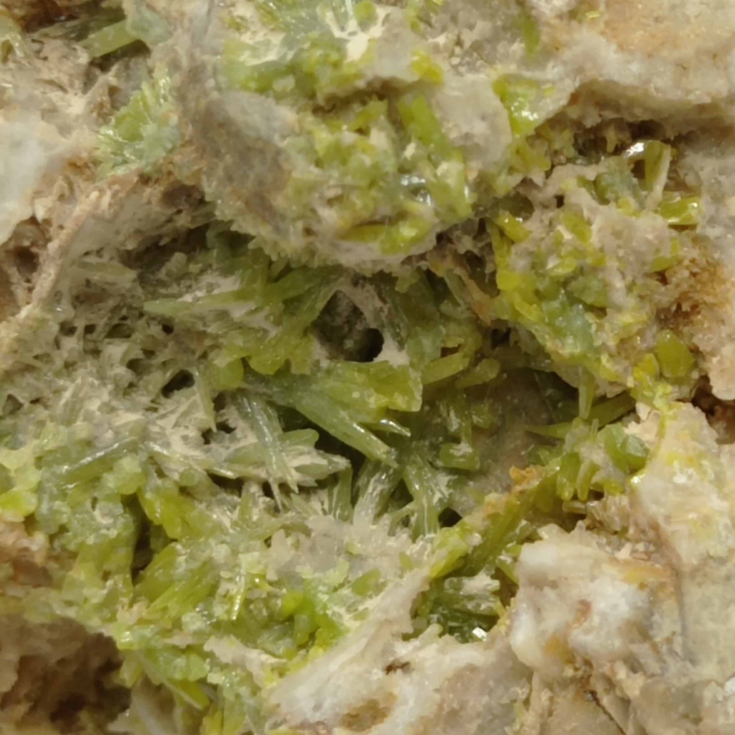 Pyromorphite verte, Steinbach, Haut-Rhin, Alsace.