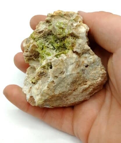 Pyromorphite verte, Steinbach, Haut-Rhin, Alsace.