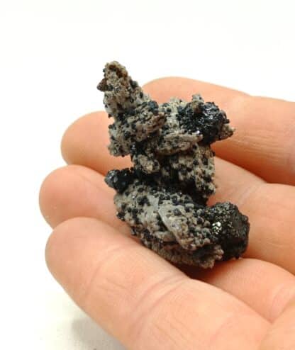Brookite sur Quartz, Magnet Cove, Arkansas, USA (États-Unis). – Image 8
