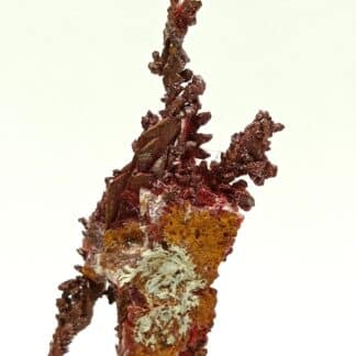 Cuprite sur Cuivre natif, Mine Ray, Yuma, Arizona, USA (États-Unis).