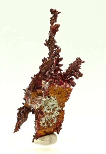 Cuprite sur Cuivre natif, Mine Ray, Yuma, Arizona, USA (États-Unis).