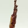 Cuprite sur Cuivre natif, Mine Ray, Yuma, Arizona, USA (États-Unis).