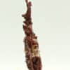 Cuprite sur Cuivre natif, Mine Ray, Yuma, Arizona, USA (États-Unis).