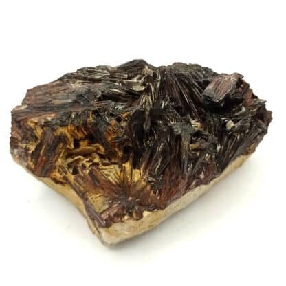 Hübnerite (Wolframite), Adams Mine, San Juan County, Colorado, USA (États-Unis).