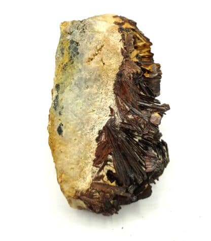 Hübnerite (Wolframite), Adams Mine, San Juan County, Colorado, USA (États-Unis).