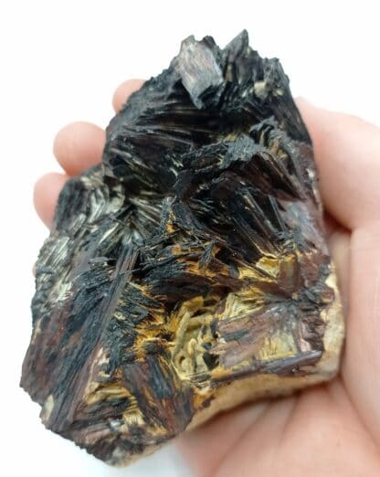 Hübnerite (Wolframite), Adams Mine, San Juan County, Colorado, USA (États-Unis).
