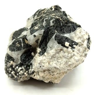 Schorl (Tourmaline), Beauchaud, Forez, Puy-de-Dôme, Auvergne.