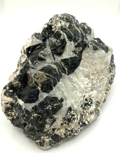 Schorl (Tourmaline), Beauchaud, Forez, Puy-de-Dôme, Auvergne.