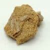 Calcite pseudomorphosée en grès, Cabrerets, Lot.