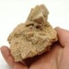 Calcite pseudomorphosée en grès, Cabrerets, Lot.