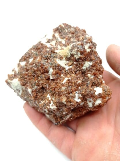 Grenat grossulaire Hessonite, Val d’Ala, Italie. – Image 8