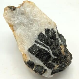 Tourmaline (Schorl), Beauchaud, Forez, Puy-de-Dôme, Auvergne.