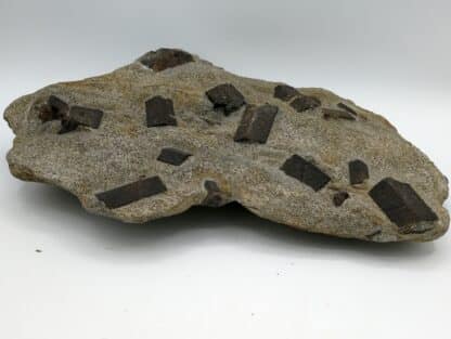 Staurotide (Staurolite), Coray – Scaër, Finistère, Bretagne.