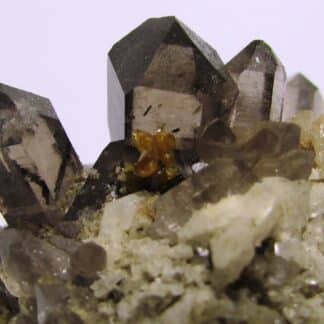 Turnérite (Monazite Ce) sur Quartz, Tujetsch, Surselva, Suisse.