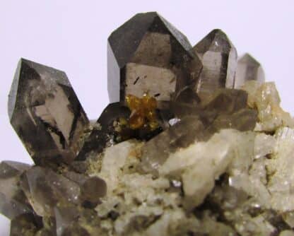 Turnérite (Monazite Ce) sur Quartz, Tujetsch, Surselva, Suisse.