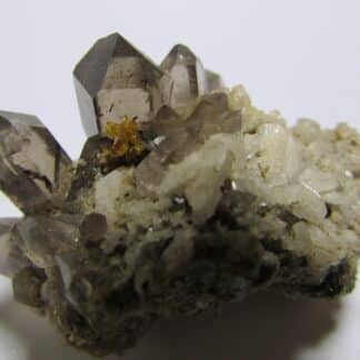 Turnérite (Monazite Ce) sur Quartz, Tujetsch, Surselva, Suisse.