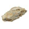 Ferro-Actinolite, Les Chalanches, Allemont, Oisans, Isère.