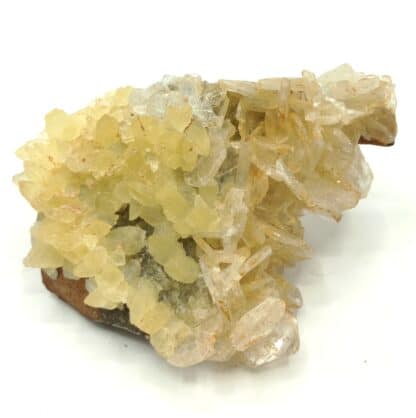 Célestine (Célestite) et Calcite, Fortcalquier, Alpes-de-Haute-Provence.