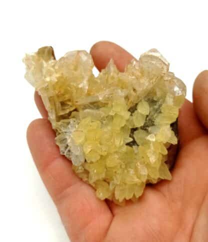 Célestine (Célestite) et Calcite, Fortcalquier, Alpes-de-Haute-Provence.