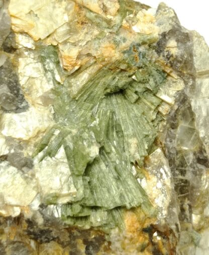 Tourmaline verte et Mica, Orvault, Loire-Atlantique.