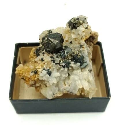 Blende (Sphalérite) et Quartz, Kapnik, Cavnic, Roumanie.