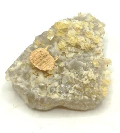 Fluorine (Fluorite) sur Quartz, Les Farges, Ussel, Corrèze.