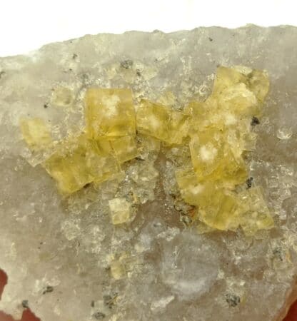 Fluorine (Fluorite) sur Quartz, Les Farges, Ussel, Corrèze.